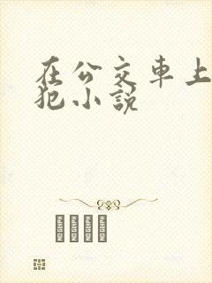在公交车上被侵犯小说