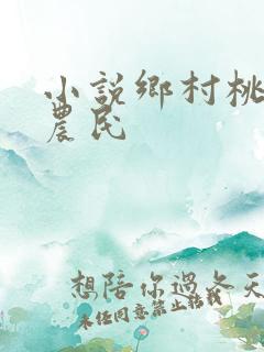 小说乡村桃运小农民