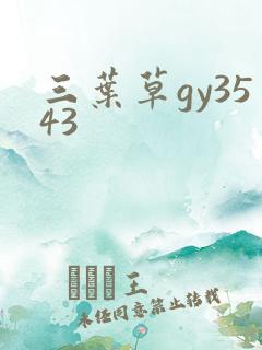 三叶草gy3543