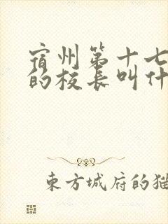 宿州第十七小学的校长叫什么