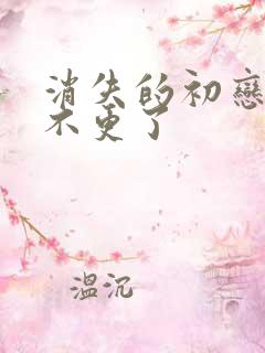 消失的初恋为啥不更了