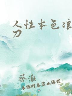 人性本色浪子小刀
