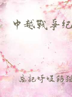 中越战争纪实录