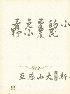 看免费的小说乡野小农民