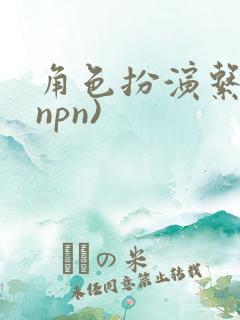 角色扮演系统(npn)