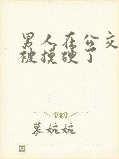 男人在公交车上被摸硬了