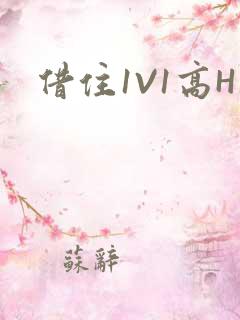 借住1V1高H