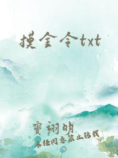 摸金令txt