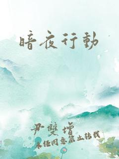 暗夜行动