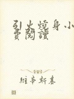 引火烧身小说免费阅读