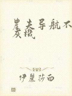 农夫导航不要打灰机