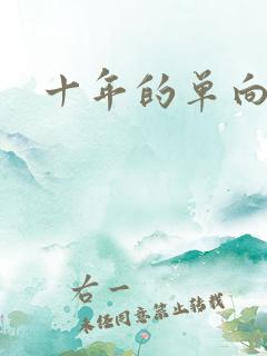 十年的单向奔赴