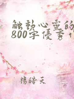 触动心灵的微笑800字优秀作文