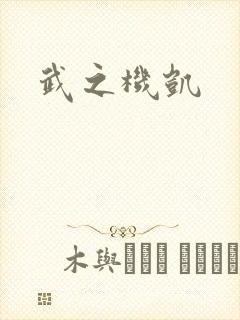 武之机凯