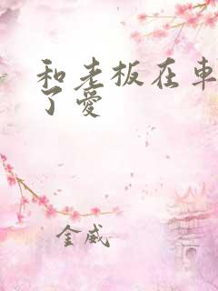 和老板在车里做了爱