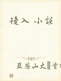 后入 小说