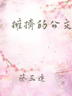 拥挤的公交车上