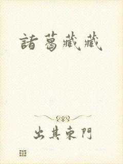 诸葛藏藏