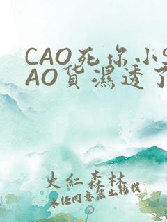 CAO死你小SAO货湿透了学长