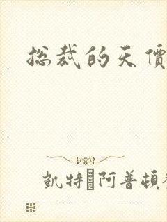 总裁的天价宠妻