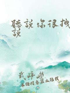 听说你很拽啊小说