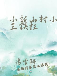 小说山村小神医王铁柱