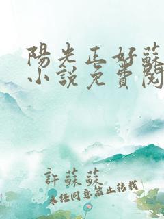 阳光正好苏玥玥小说免费阅读
