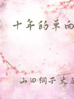 十年的单向奔赴