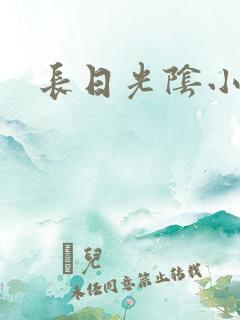 长日光阴小说