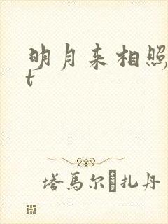 明月来相照txt