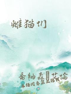 雌猫们