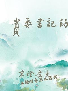 省委书记的小宝贝