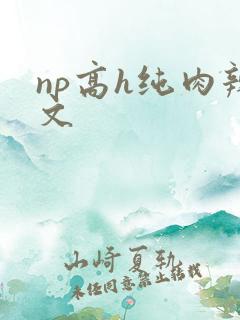 np高h纯肉辣文