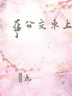 在公交车上被日了