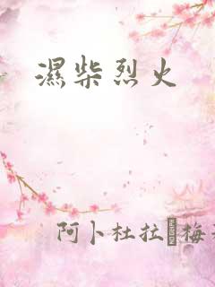 湿柴烈火