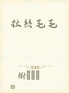 拉丝毛毛