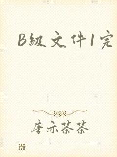 B级文件1完整