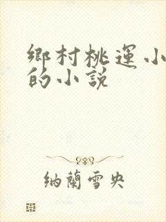 乡村桃运小神医的小说