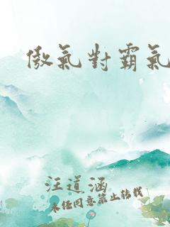 傲气对霸气
