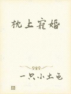 枕上宠婚