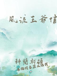 风流王爷俏相公