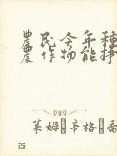 农民今年种什么农作物能挣钱