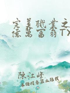 完美职业之我是亿万富翁TXT