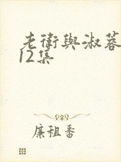 老卫与淑蓉1一12集