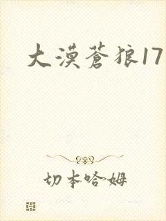 大漠苍狼17