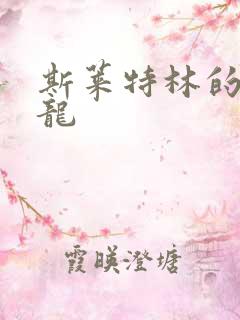 斯莱特林的铂金龙