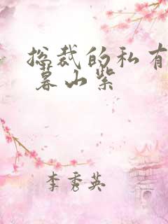 总裁的私有宝贝 暮山紫