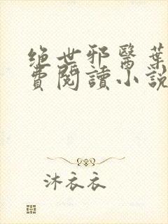 绝世邪医叶凡免费阅读小说