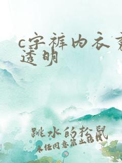 c字裤内衣秀全透明