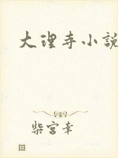 大理寺小说
